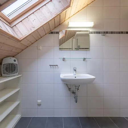 Wildgans Classic 26 *