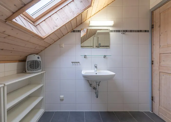 Wildgans Classic 26 *